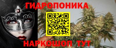 гидра Будённовск