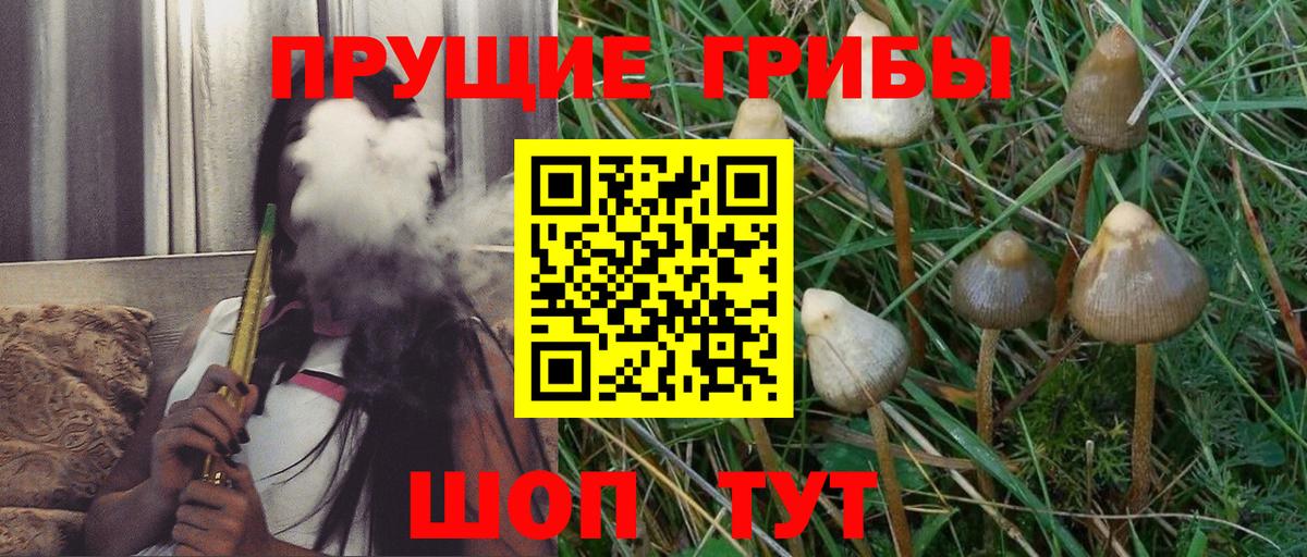 Псилоцибиновые грибы мицелий  Вход с VPN  Галлюциногенные грибы мицелий  Сергиев Посад 